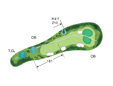 No.8 PAR4