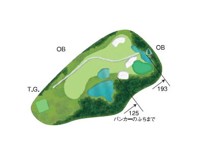 No.17 PAR3