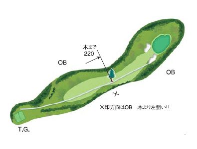 No.6 PAR5