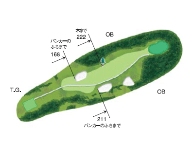 No.8 PAR4