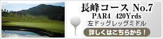 長峰No.7　PAR4