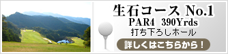 生石No.1　PAR4