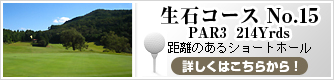 生石No.15　PAR3